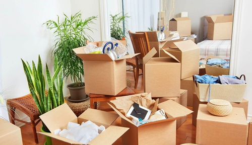 Packing Services for Moving